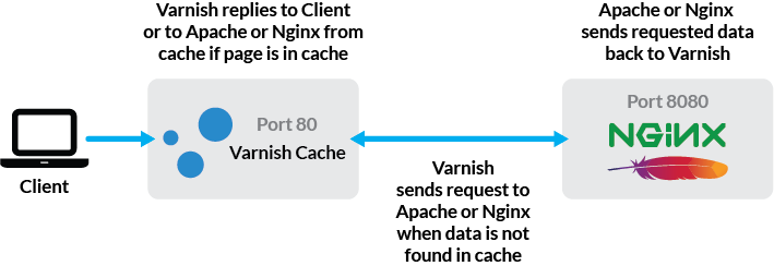 Where Varnish Exists in the Web Server Process Where Varnish Exists in the Web Server Process